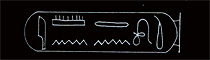 Tanotamun