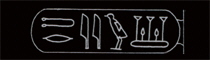 Darius I.